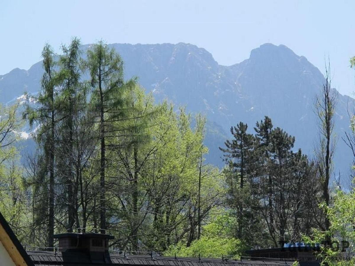 Tatrytop Apartamenty Kaszelewski Zakopane Exterior photo